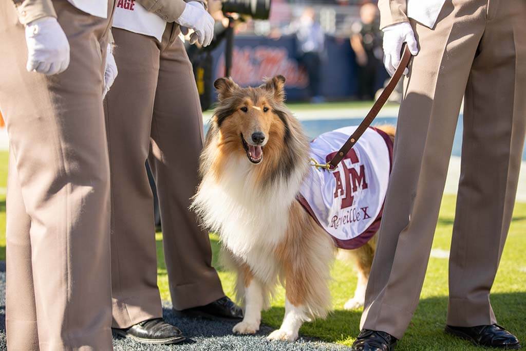 Photo of Miss Reveille in white uniform