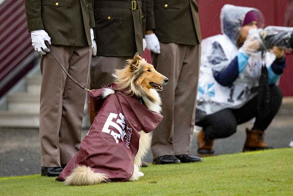 Photo of Miss Reveille wearing a rain coat