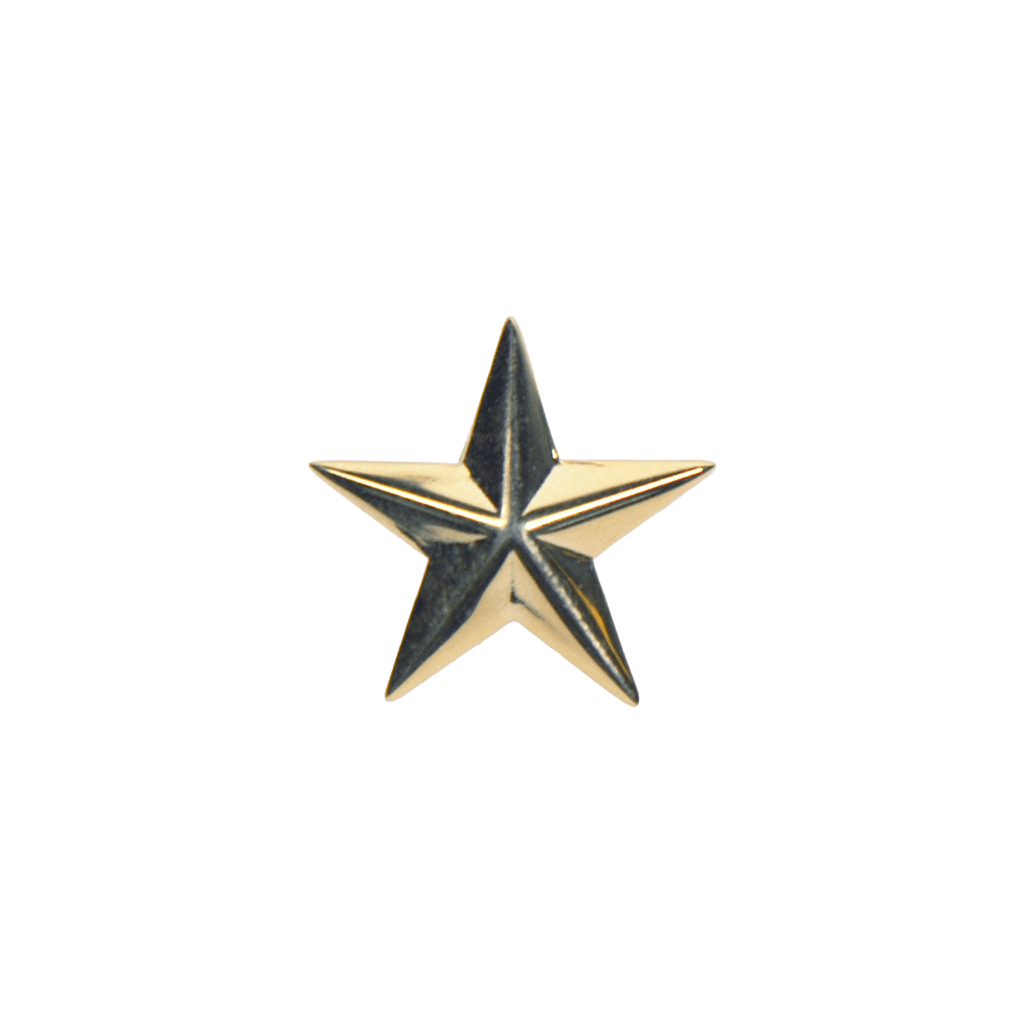 Photo of Gold star pin