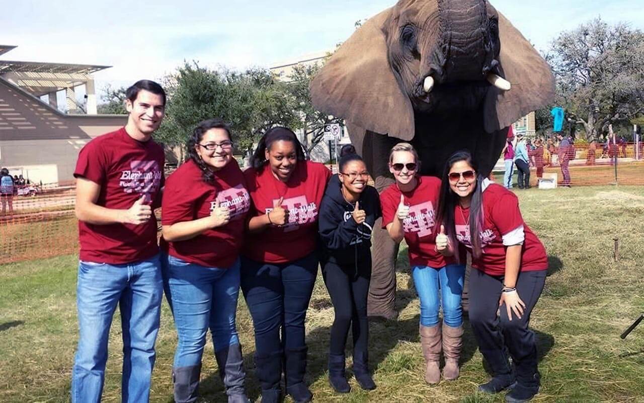 Color photo of Texas A&M students posing with an elephant during Elephant Walk.